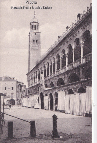 AK Padova Piazza dei Frutti e Sala della Ragione.