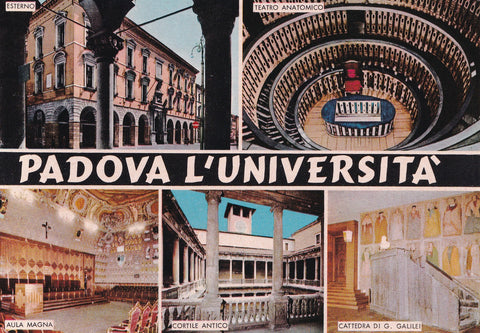 AK Padova. L'Universita.