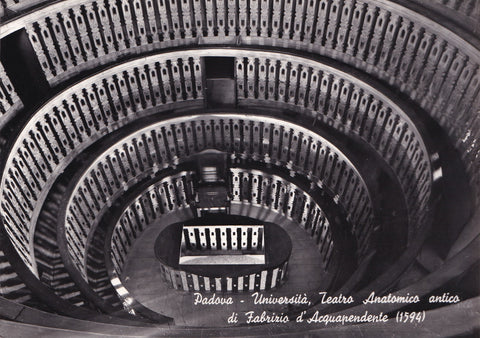 AK Padova Universita Teatro Anatomico antico di Fabrizio d'Acquapendente.