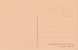 AK Padova. Santuario B. V. Del Carmine. SS. Giacomo e Giovanni (Figli di Zebedeo) Capolavoro del Padovianino.
