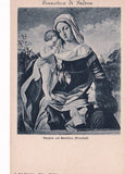 AK Pinacoteca di Padova. Vergine col Bambino (Previtali)