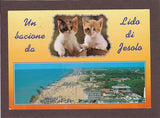 AK Un bacione da Lido di Jesolo.