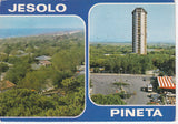AK Jesolo Pineta.