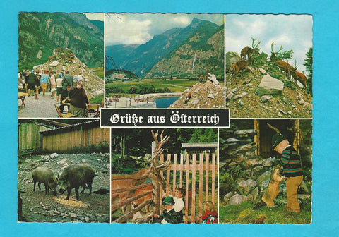 AK Grüße aus Österreich.  Alpenwildpark Maltatal.