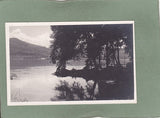 AK Wörthersee. Motiv bei Krumpendorf.