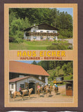 AK Reifnitz. St. Anna 20. Haflinger Reitstall Haus Eicher.