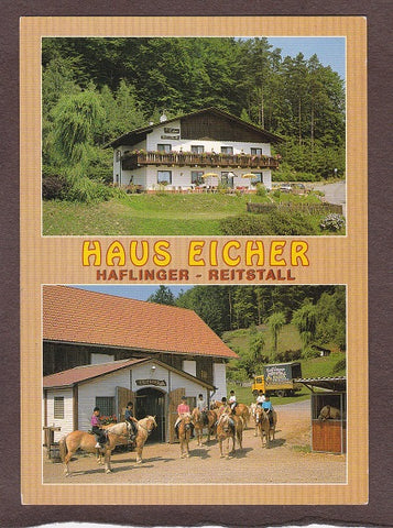 AK Reifnitz. St. Anna 20. Haflinger Reitstall Haus Eicher.