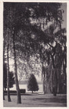 AK Pörtschach. Wörthersee. Parkpartie. (1926)