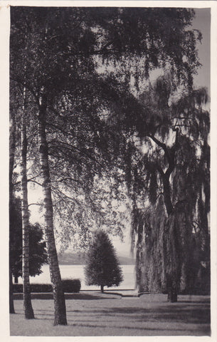 AK Pörtschach. Wörthersee. Parkpartie. (1926)