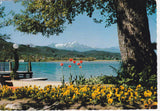AK Pörtschach - Blumenstrand.