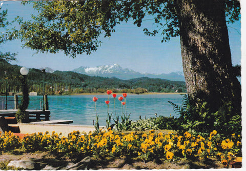 AK Pörtschach - Blumenstrand.
