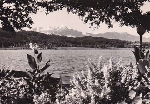 AK Blumenpromenade von Pörtschach August 1955.