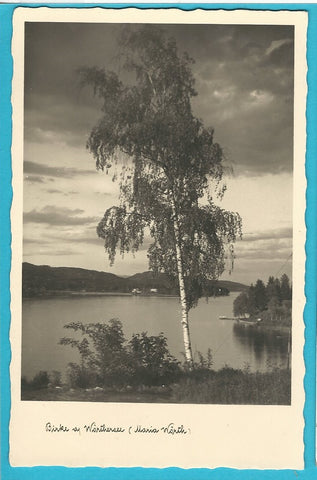 AK Birke am Wörthersee (Maria Wörth).