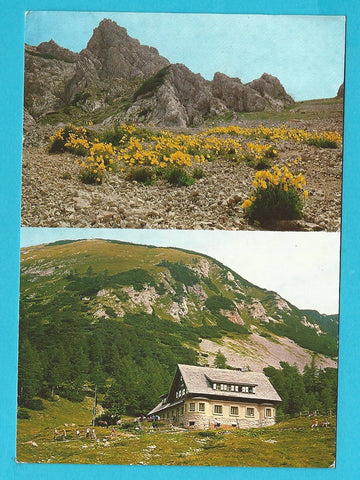 AK Naturschutzgebiet Klagenfurter Hütte mit Kosiak.