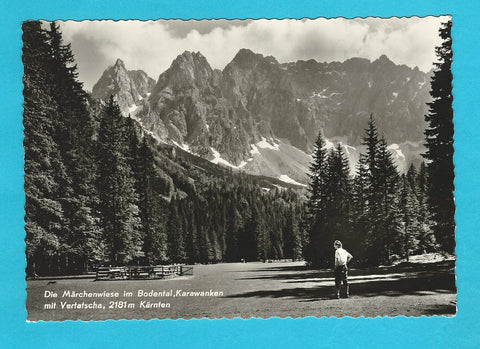 AK Die Märchenwiese im Bodental, Karawanken mit Vertascha.