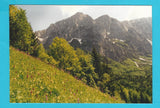 AK Orchideenwiese bei Zell-Mitterwinkel mit Blick auf die Koschuta.