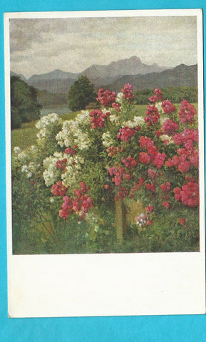 AK Röserln am Wörthersee.