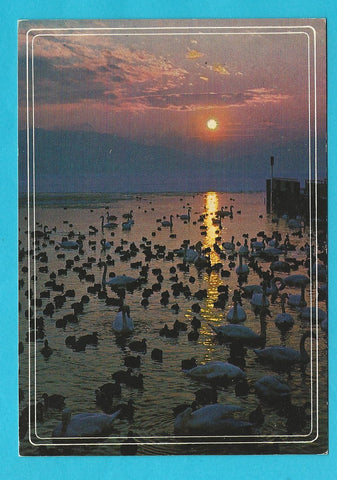 AK Abendstimmung am Wörther See.