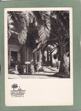 AK Formia. Grande Albergo Miramare. Particolare del Parco. Latio (Latium)