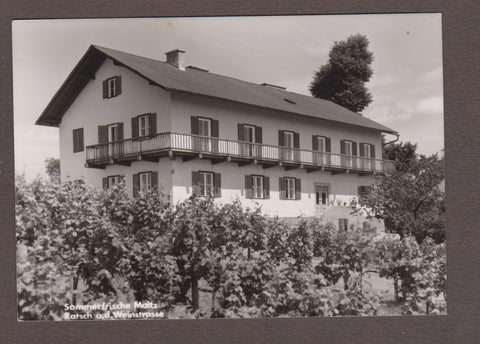 AK Ratsch an der Weinstraße. Sommerfrische Maitz.