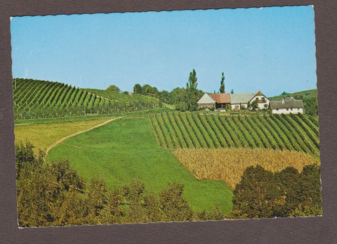 AK Ehrenhausen. Buschenschank Josef Dreisiebner. Sulztal 35.