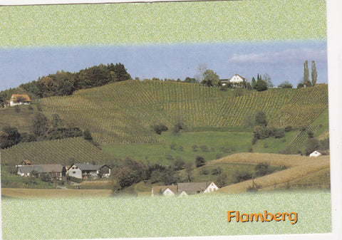 AK St. Nikolai i. Sausal. Föhrenhof TM Pension Familie Hois.Harkamp Gmbh Gasthof. Flamberg 46.