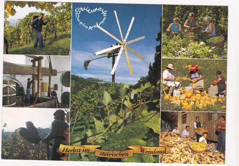 AK Herbst im steirischen Weinland. Weinlese, Klapotetz. Hopfenpflücken usw.