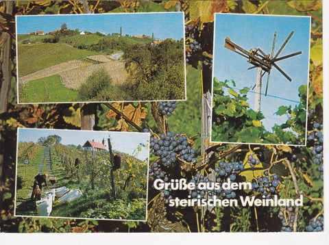 AK Grüße aus dem Steirischen Weinland.