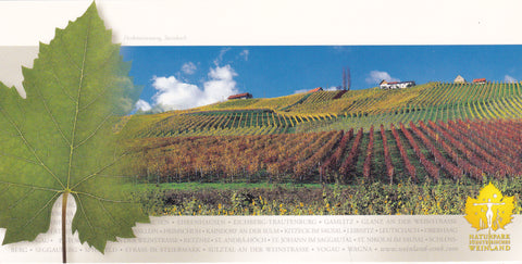 AK Naturpark Südsteirisches Weinland. Herbststimmung Steinbach.