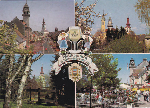 AK Willkommen Weinstadt Leibnitz.