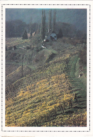 AK Südsteirisches Weinland.