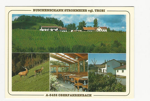 AK Großklein. Buschenschank Strohmeier, vlg. Trobi.  Oberfahrenbach.