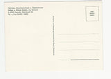 AK Gamlitz. Steinbach 53. Weinbau Buschenschank Helga u. Otmar Adam vlg. Scherer.