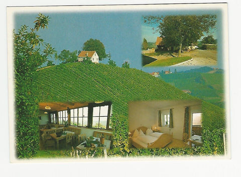 AK Gamlitz. Steinbach 53. Weinbau Buschenschank Helga u. Otmar Adam vlg. Scherer.