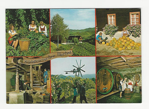 AK Südsteirischer Herbst. Beim Hopfenpflücken. Blick auf die südsteirischen Weinberge. Kürbisputzen. Alte Weinpresse. Bei der Lese. Weinkost.