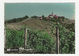 AK Kitzeck. Sausaler Weingebiet.