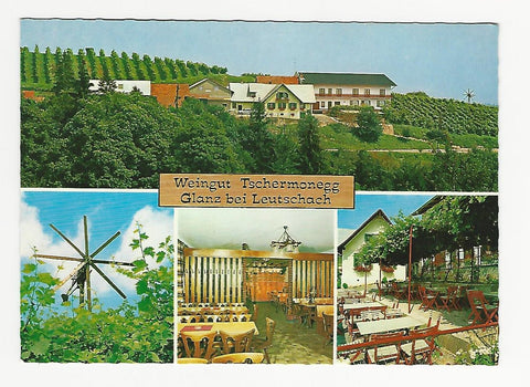 AK Glanz 50 bei Leutschach. Weingut Tschermonegg.