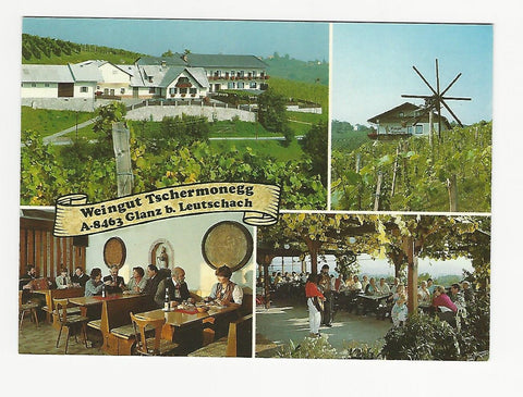 AK Glanz 50 bei Leutschach. Weingut Tschermonegg.