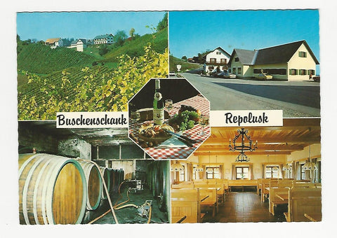 AK Leutschach, Glanz an der Weinstraße. Weingut und Buschenschank Karl Repolusk.