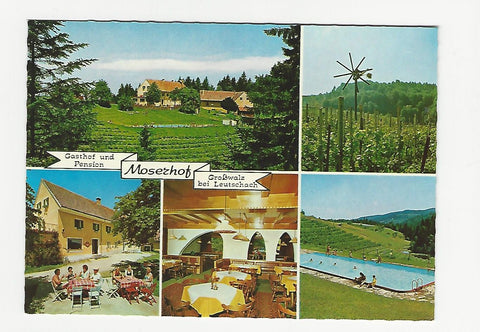 AK Großwalz bei Leutschach 80. Gasthaus Pension Moserhof. Inh.: D. u. T. Schantl.