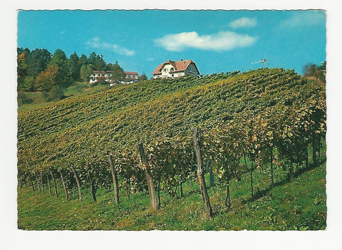 AK Glanz an der südsteirischen Weinstraße. Gasthof Pension Weingut Mahorko.