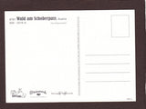 AK Wunderbares Wald am Schoberpaß.