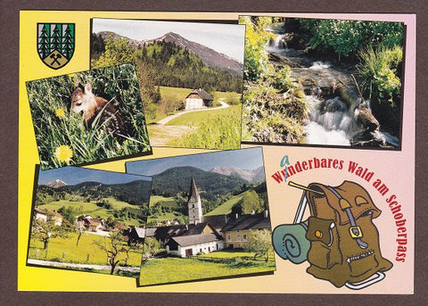 AK Wunderbares Wald am Schoberpaß.