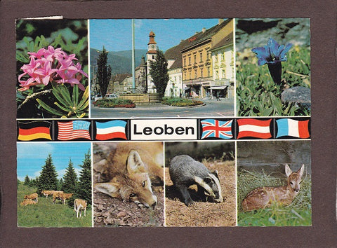 AK Leoben.