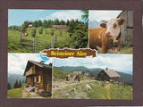 AK Wald, Liesing 18. Beisteiner Alm. J.A. Jansenberger vlg. Beisteiner.