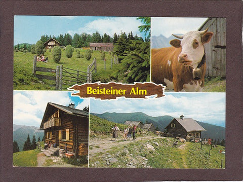AK Wald, Liesing 18. Beisteiner Alm. J.A. Jansenberger vlg. Beisteiner.