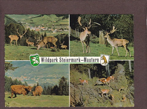 AK Wildpark Steiermark – Mautern.