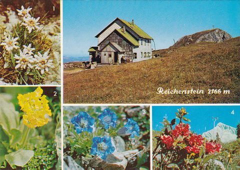 AK Eisenerzer Reichenstein. Reichensteinhütte.