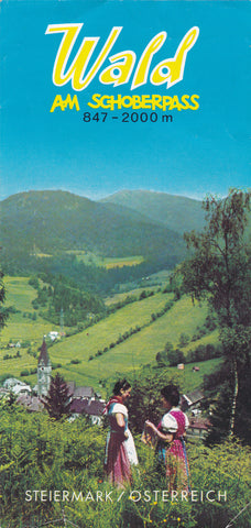 Prospekt Wald am Schoberpass.
