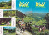 Prospekt Wald am Schoberpass.